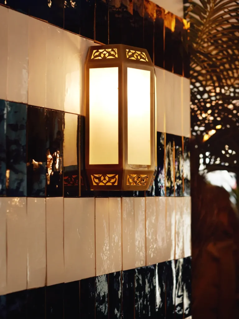 Projet SONIA - Photo 10 | Artis@clementvayssieres